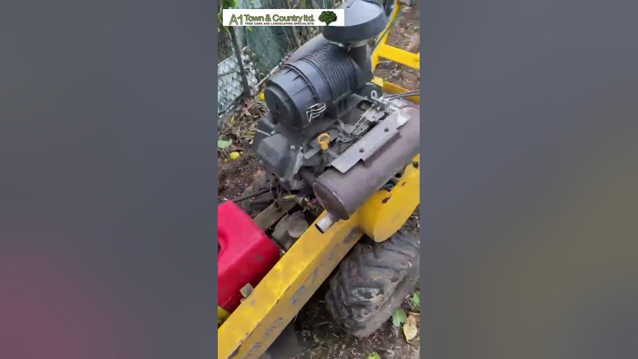 stump-grinding-st-albans-hertfordshire-by-a1-town-and-country-tree