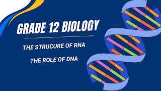Grade 12 Biology: Chapter 2 - (part 2)