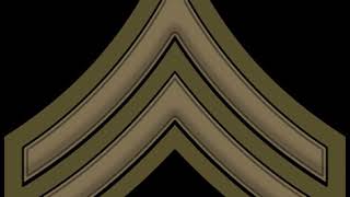 United States Army enlisted rank insignia of World War I | Wikipedia audio article
