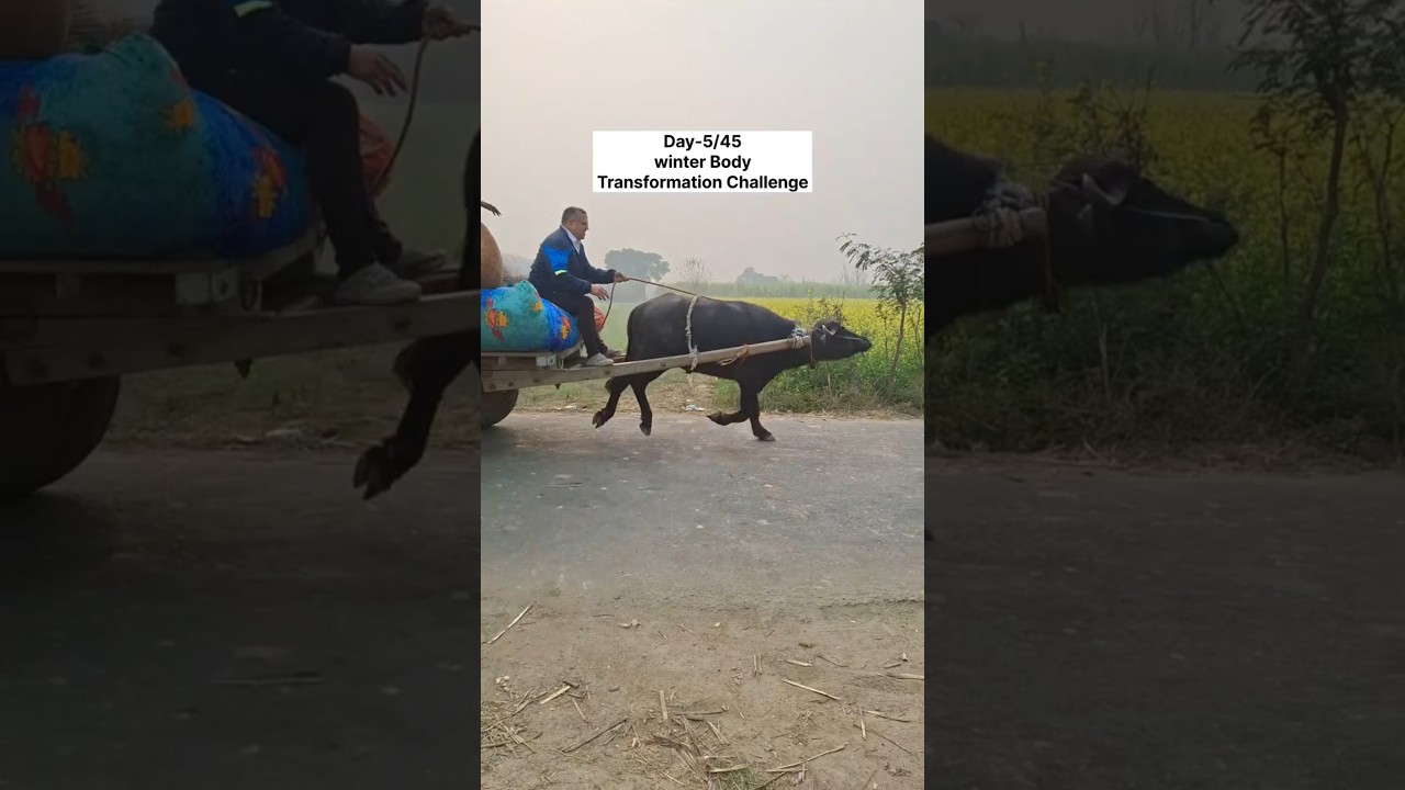 day-5/45 winter Challenge..🥰