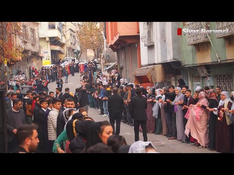 Şiyar Berwari - Gaziantep Düğünü  [ 2021 ©  ] شيار برواري