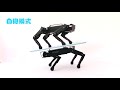 XGO Mini - A Quadruped robot