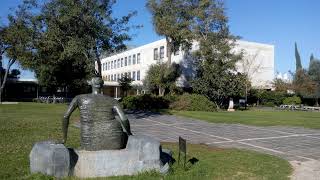 Israel Institute for Advanced Studies Live Stream