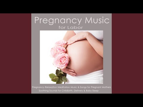 Peaceful Songs (Meditation Music)