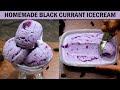 Black Currant Icecream Recipe | How To Make Black Currant Icecream At Home | Icecream |