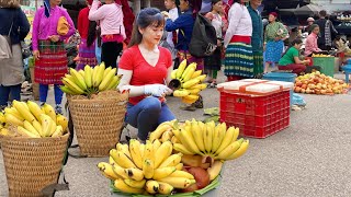 Harvesting Wild Banana Flower Goes to market sell  Free farm life |  Nhất Daily Life