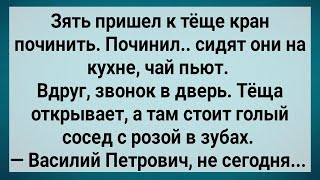 Как Теща с Соседом Петровичем Развлекалась! Сборник Свежих Анекдотов! Юмор!