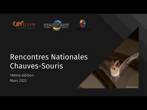 Tendances des populations de chiroptères et cartographies prédictives - Y. Bas & J. Marmet