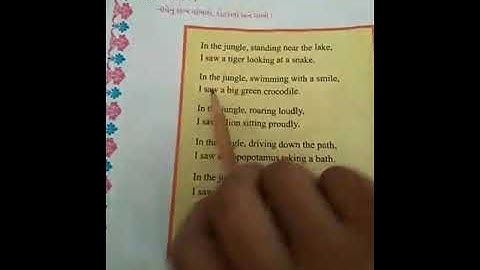 std 5 English unit 2 umbrellas are colourful