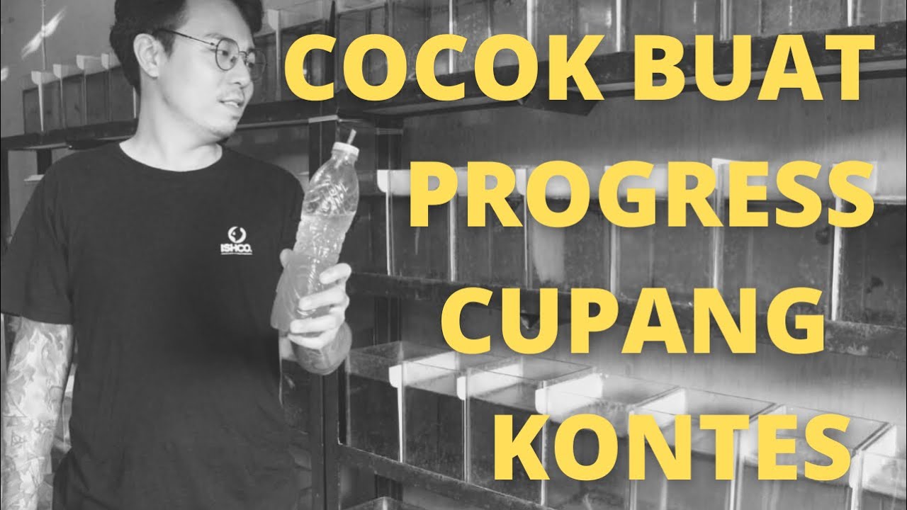 PAKAN TERBAIK IKAN CUPANG