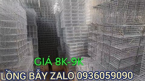 Lồng bẫy chuột đường mòn. Lồng bẫy chuột lối mồi. Lồng bẫy chuột đàn. Lồng bẫy chuột đồng. Lò xo.