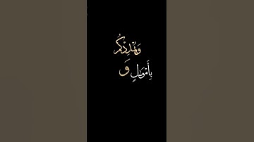 الاستغفار "تلاوة ندية" #قرآن #الاستغفار #سورة-نوح