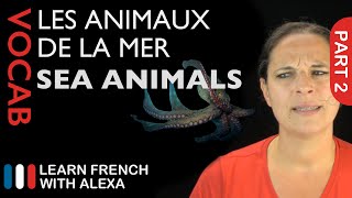 Sea Animals in French Part 2 (basic French vocabulary from Learn French With Alexa)