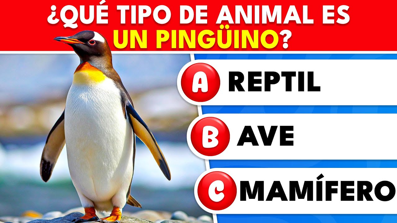 40 preguntas fáciles… pero ¿cuántas puedes responder REALMENTE? | Knowlio - ES