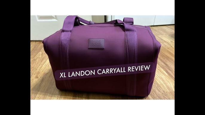 Dagne Dover Landon Small Carryall Bag in Pink