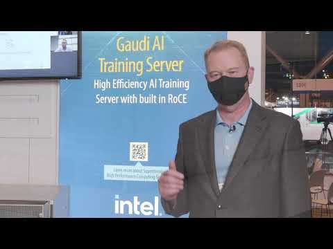 Gaudi AI Training System for Supercomputing