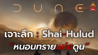 Dune : เจาะลึกข้อมูลหนอนทราย