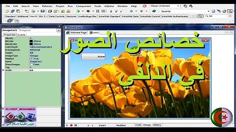 دروس الدلفي للمبتدئين║أمثلة عن الصور والايقونات وتنفيذها في برنامج الدلفي Image in Delphi