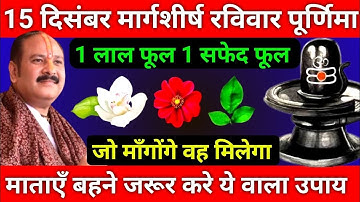 15 दिसंबर मार्गशीर्ष रविवार पूर्णिमा को 1 लाल फूल 1 सफेद फूल वाला उपाय जरूर करे ||Pradeep Ji Mishra