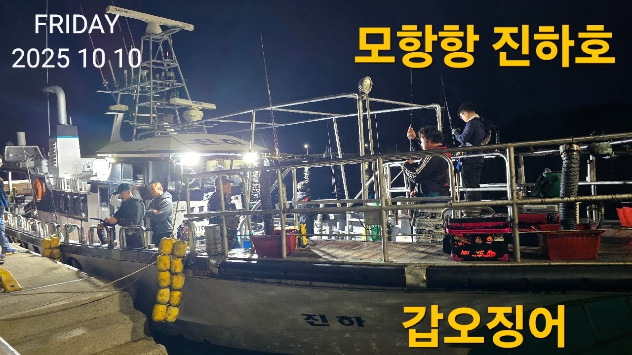 신진도권 모항항 진하호 갑오징어 2일차