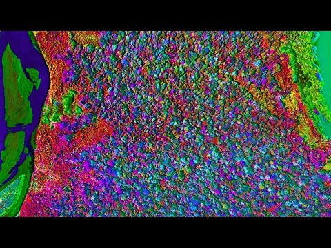 Amazing 3D Maps Reveal Biodiversity in the Amazon!