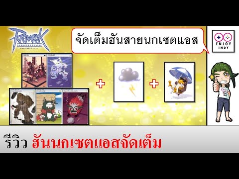 roexe อัตรา+ Update New รีวิวฮันนกเซตแอสแบบจัดเต็ม (Tips and Tricks)