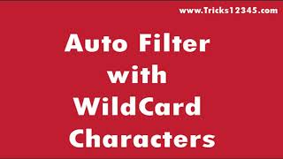 Excel VBA Macros: Autofilter With WildCard Characters Using VBA Macros || VBA Basics