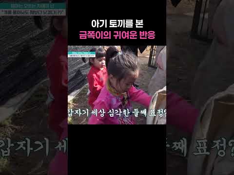 토끼야 엄마가 <strong>보고싶어</strong>? #금쪽같은내새끼