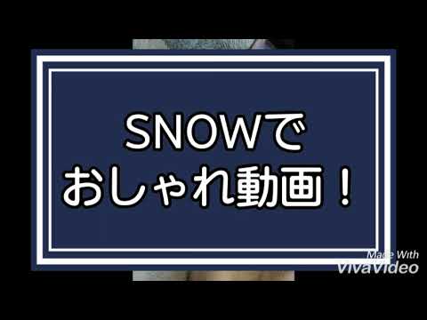 第34話:茶トラ猫はなぽん「突撃してみた」お洒落ver.