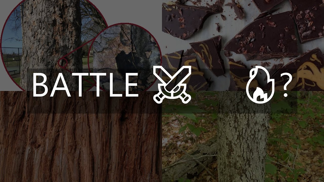 bark vs qustodio which parental control app is better a sidebyside comparison