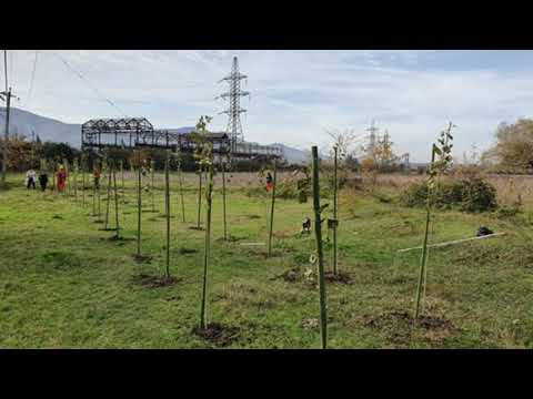 ფშქ-ში გარემოსდაცვითი აქცია გრძელდება