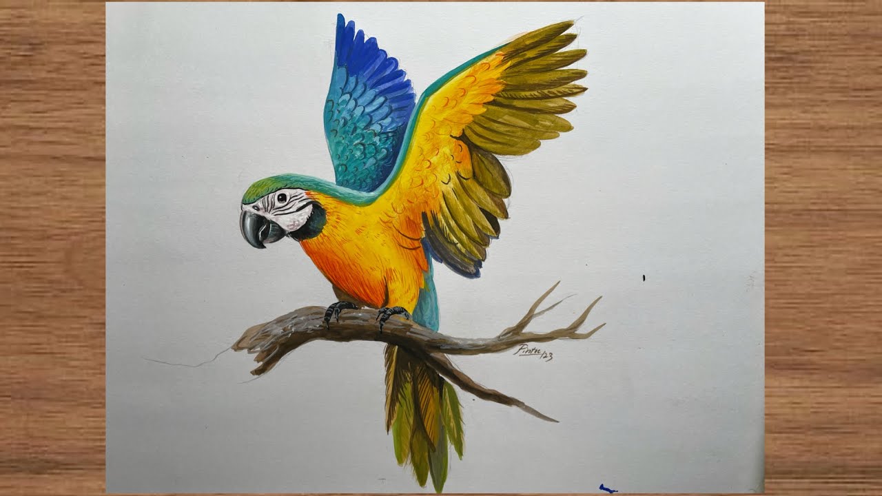 Update 76+ macaw parrot sketch super hot - seven.edu.vn