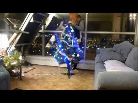 putting-up-my-christmas-tree