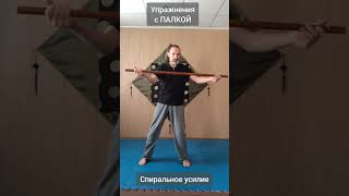 Упражнения с палкой СПИРАЛЬНОЕ УСИЛИЕ / Stick Exercises SPIRAL FORCE (Виктор Лактионов)