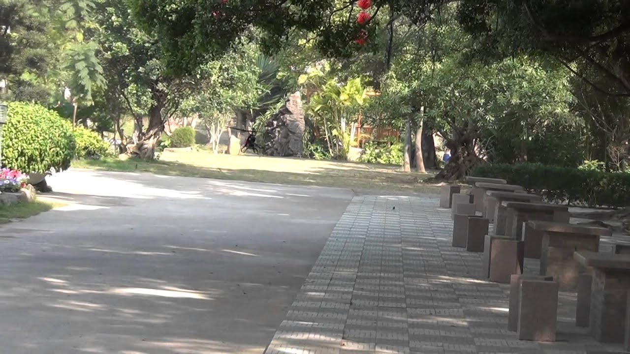 FeiLun Rc Single Blade helicopter FX052