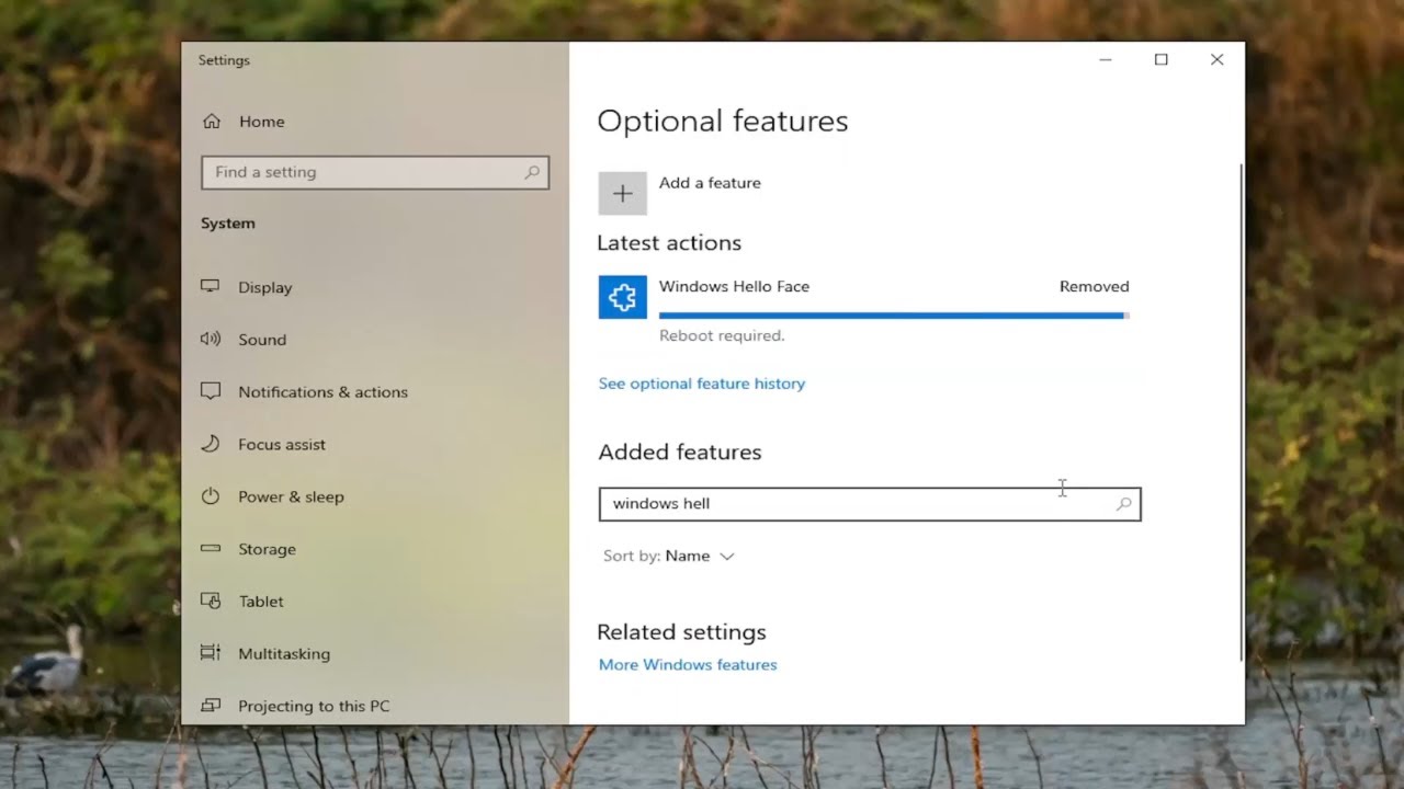 How To Remove Windows Hello on Windows 10 [Guide] - YouTube