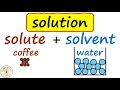 Understanding Solutions in Science