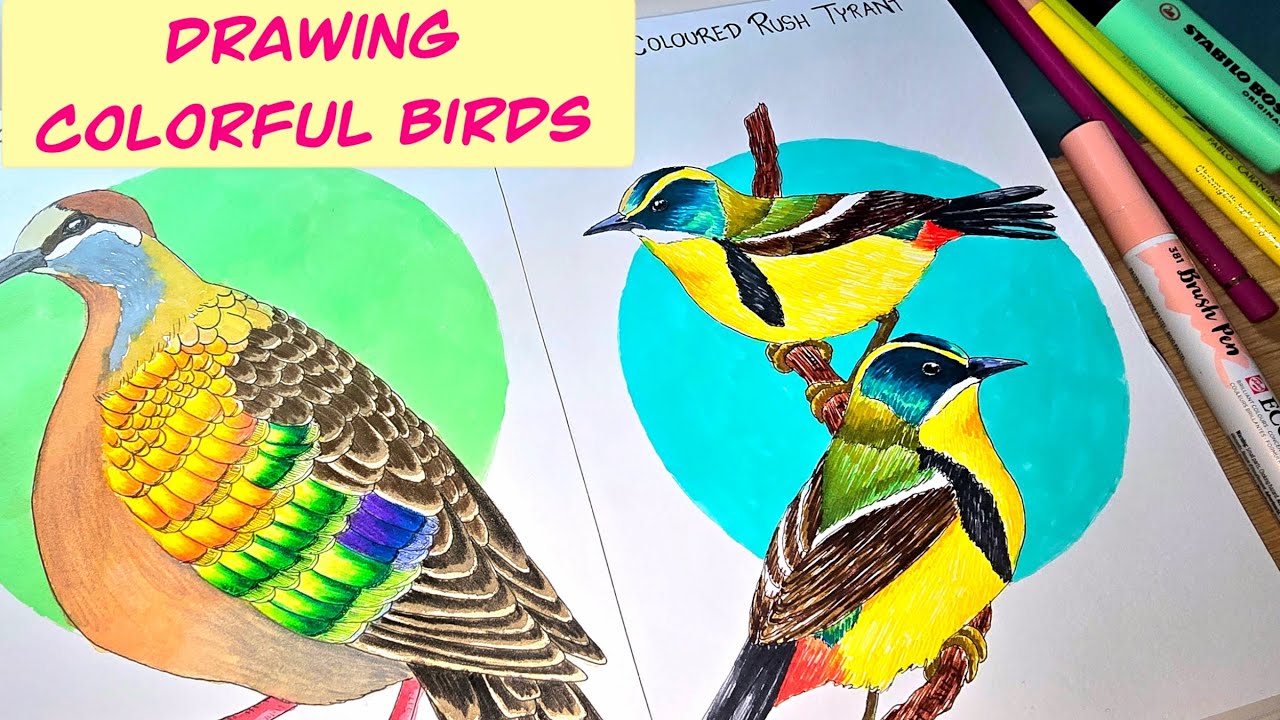 HOW I DRAW BIRDS IN MY SKETCHBOOK – Mixed Media Illustration Process