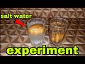 Salt water and potato experiment