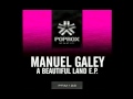 Manuel Galey - A Beatiful Land (April 1st)