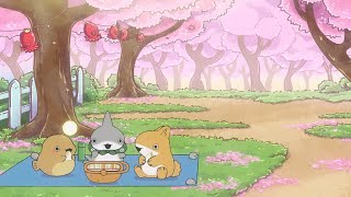 New PV||Odekake Kozame (Little Shark's Outings) Season 2||TV anime