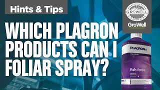 Which Plagron products can I foliar spray | ft. Jorg from Plagron | Hints & Tips