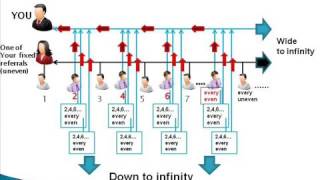 Aiop Power Downline Builder