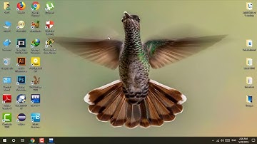 C++ Tutorial From Basic to Advance.34 - Random Number in Pashto (Afridi)