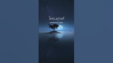 الله نور السماوات والأرض | سورة النور | القرآن الكريم