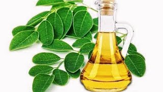How To Extract Oil From Malunggay Moringa Leaves At Home Uses Benefits