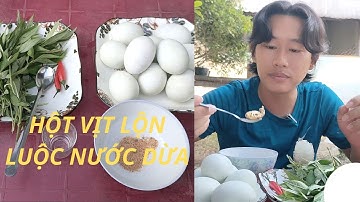 Hột vịt lộn luộc nước dừa siêu ngọt quá ngon || Minh Hiển Miền Tây