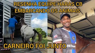 RESENHA EQUIPE HARAS CB EMBARCANDO OS ANIMAIS O CARNEIRO FOI JUNTO