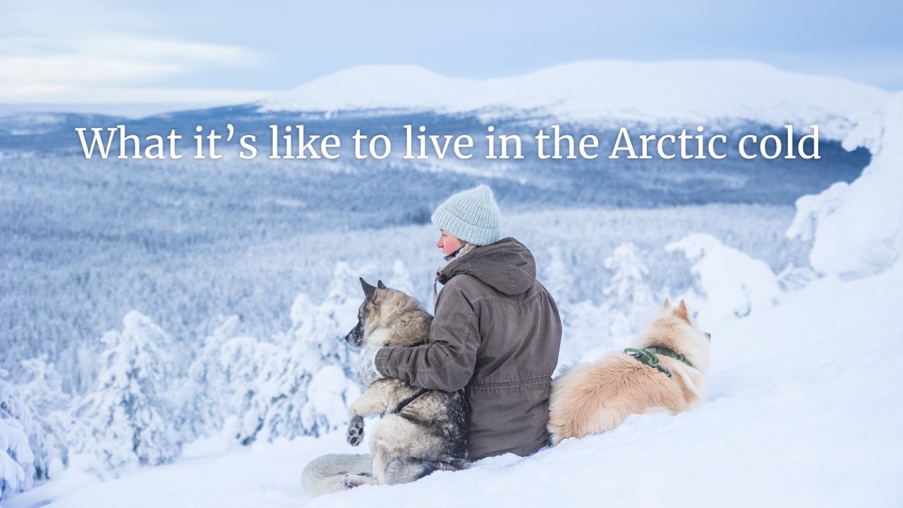 In the Cold and Quiet — Arctic Winter Moments
