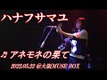 ハナフサマユ 「アネモネの果て LIVE ver.」@MUSEBOX(2022.5.22)